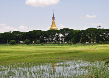 Огромная ступа за деревьями – фотографии Мьянмы