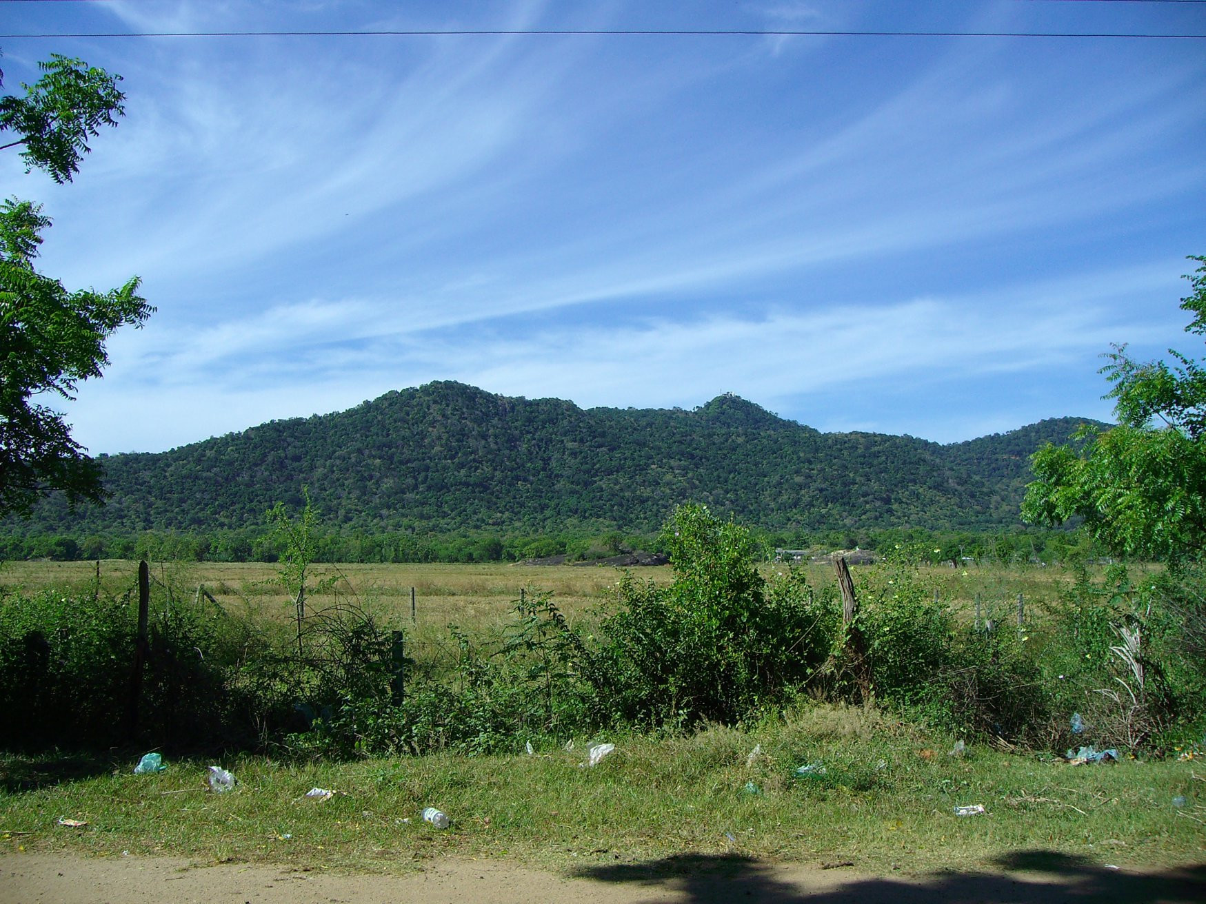Катарагама, Шри-Ланка, фото № 51459 – фотографии Шри-Ланки