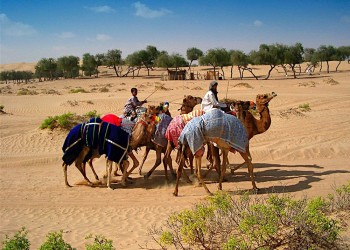 Оман, фото № 5731 – фотографии Омана