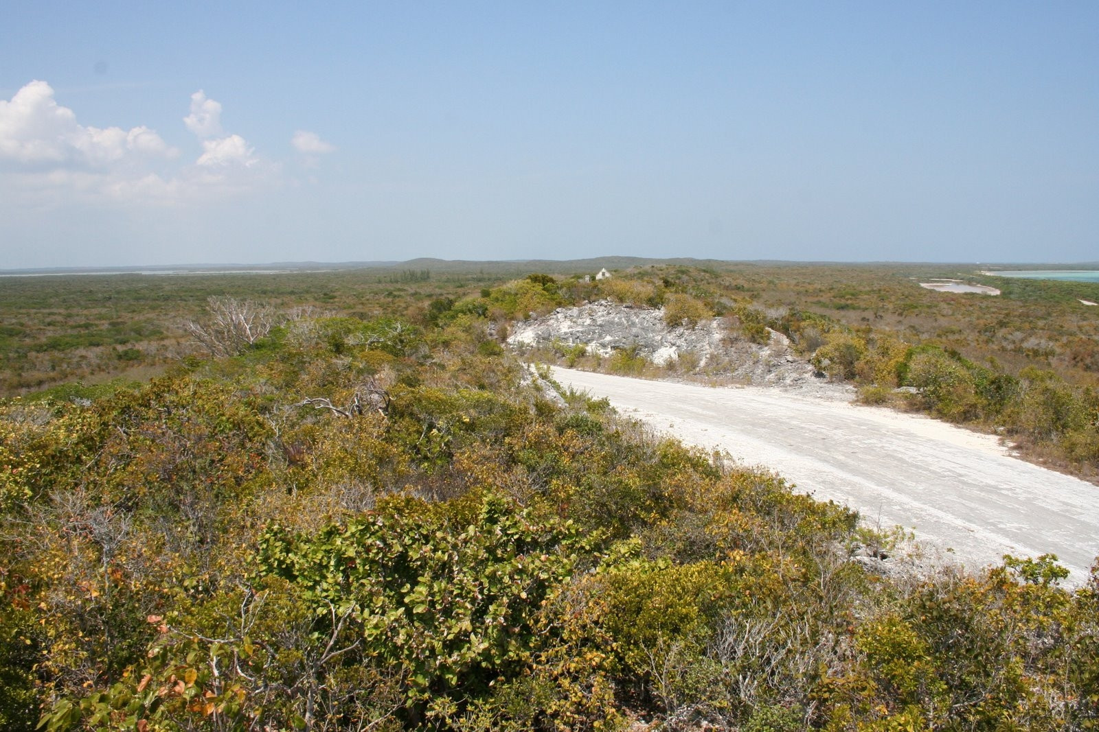 Природа в Сан Сальвадор, Багамские острова – фотографии Багамских островов