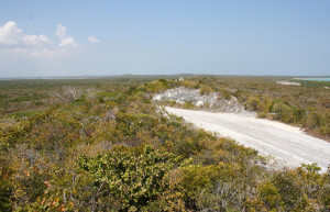 Природа в Сан Сальвадор, Багамские острова – фотографии Багамских островов