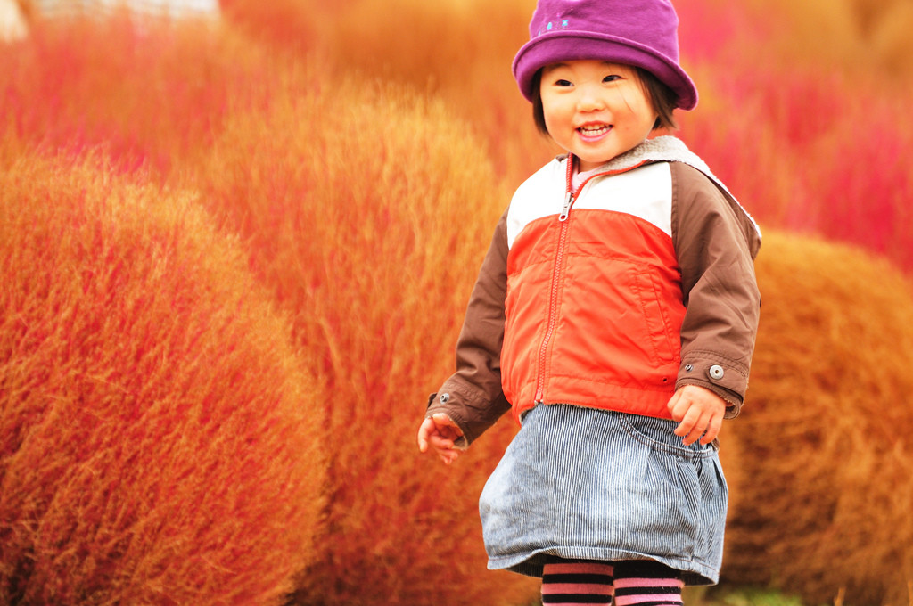 Японский парк Хитачи-Сисайд в городе Хитатинака – фотографии Японии
