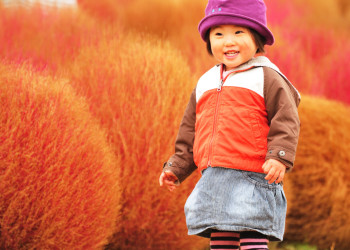 Японский парк Хитачи-Сисайд в городе Хитатинака – фотографии Японии