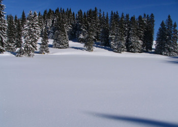 Природа в Шатель, Франция – фотографии Франции