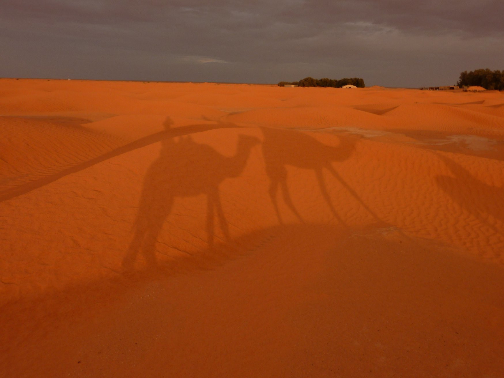Пустыня в Ксар-Гилан, Тунис – фотографии Туниса