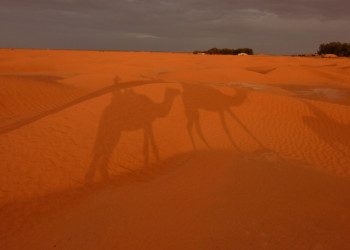 Пустыня в Ксар-Гилан, Тунис – фотографии Туниса