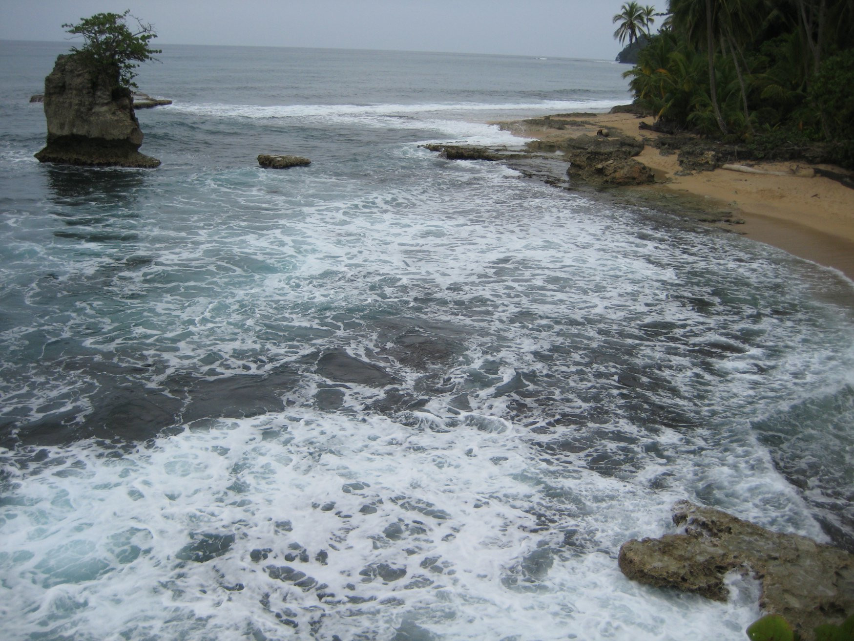 Манзанилло, Лимон провинция, Коста-Рика, фото № 40131 – фотографии Коста-Рики