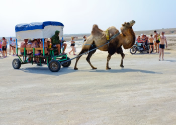 Озеро Баскунчак, живое такси – фотографии России