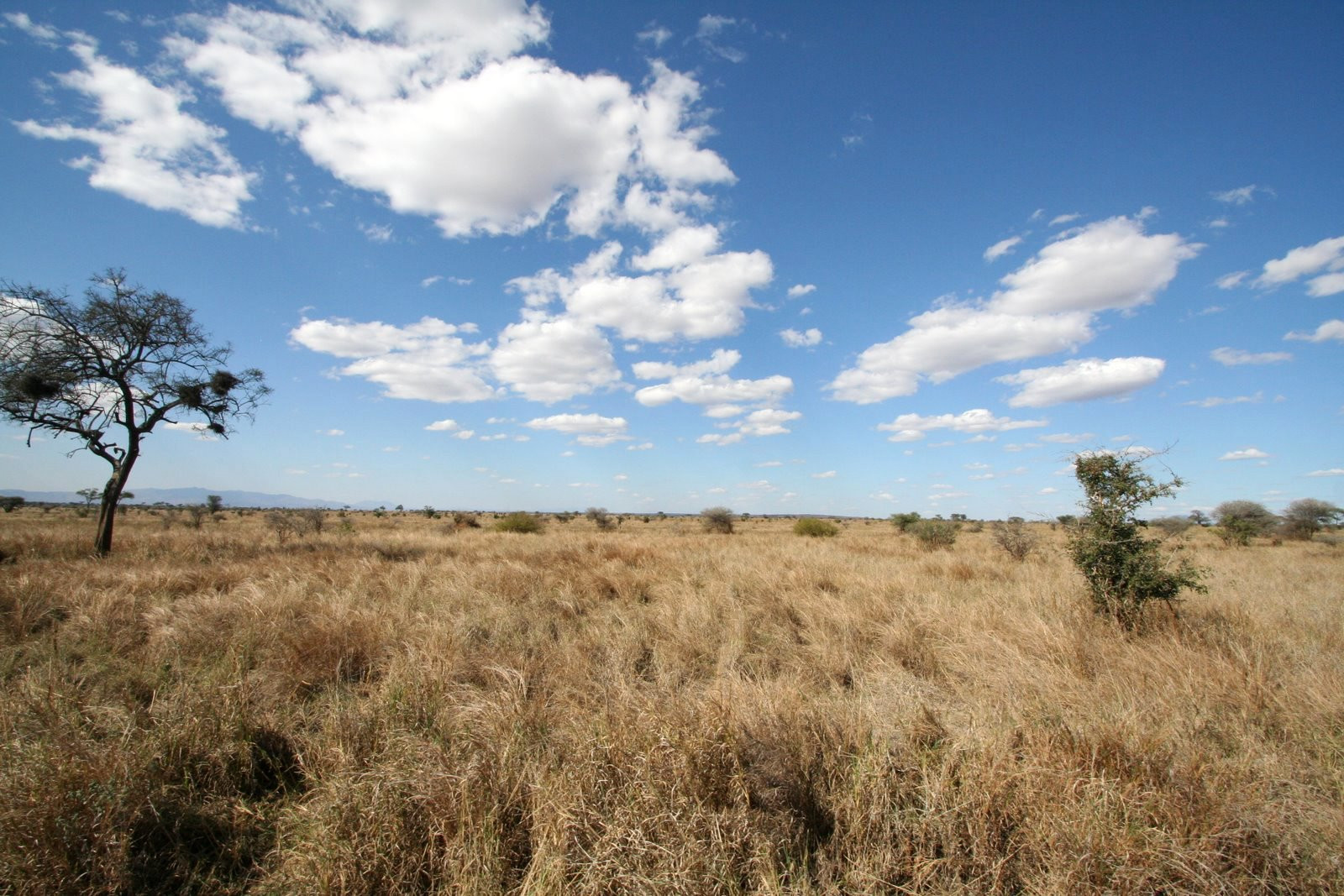 Tanzania – фотографии Танзании