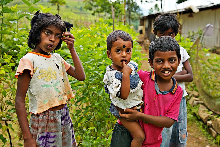 Нувара Элия, Шри-Ланка, фото № 52049 – фотографии Шри-Ланки