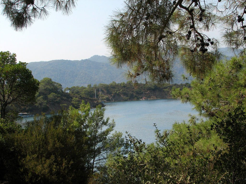 Фетхие, Эгейский регион, Турция, фото № 48342 – фотографии Турции