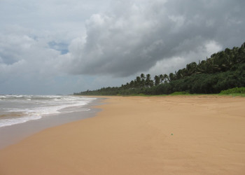 Бентота, Шри-Ланка, фото № 50685 – фотографии Шри-Ланки