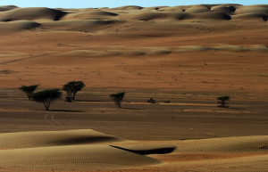 Вахиба Сэндс, Оман, фото № 77990 – фотографии Омана