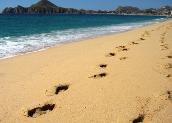 Лос-Кабос, Мексика, фото № 43601 – фотографии Мексики