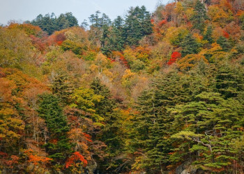 Towada- Hachimantai National Park – фотографии Японии