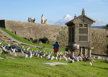 Замок Монтерреал в Байоне – фотографии Испании