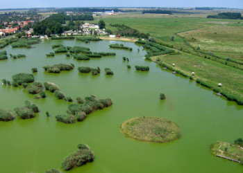 Хайдусобосло, Венгрия, фото № 70773 – фотографии Венгрии