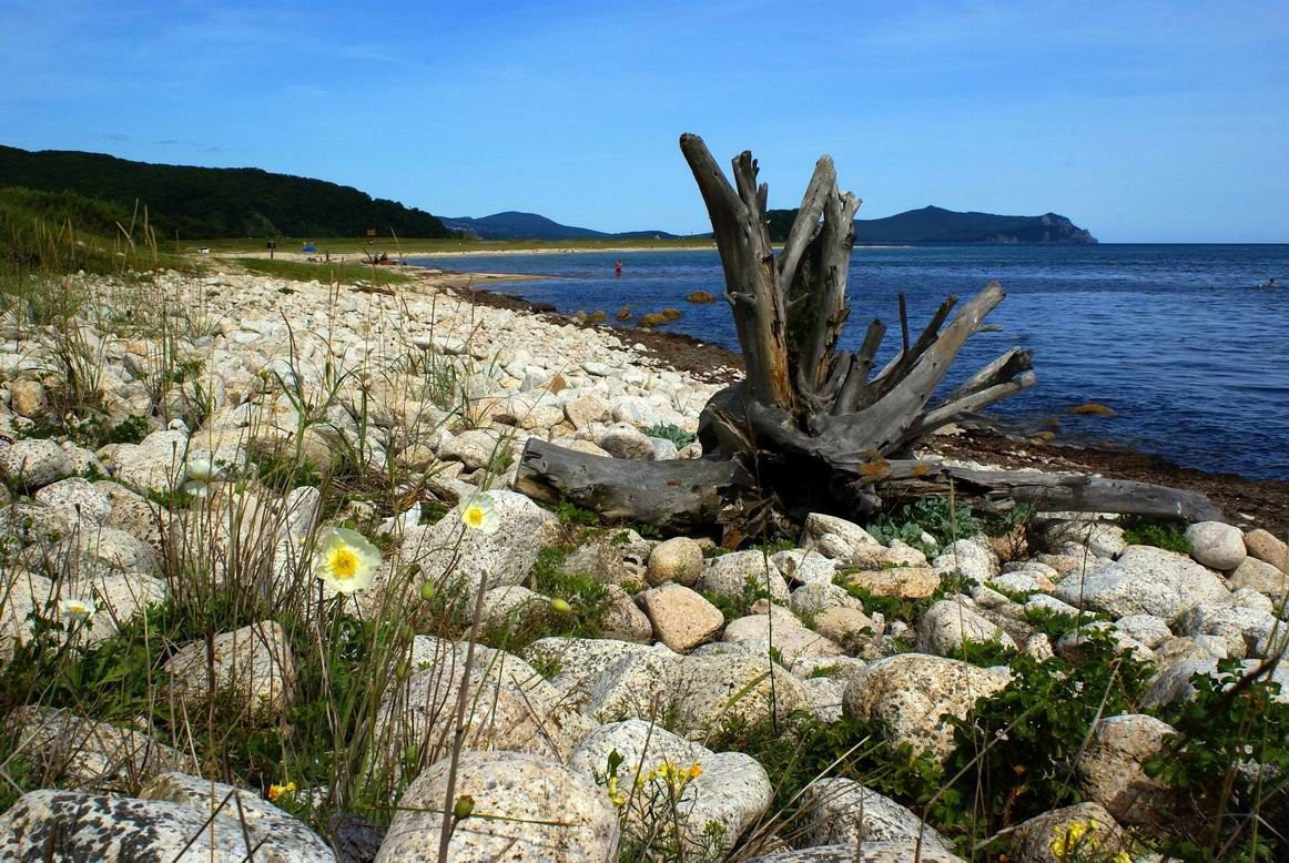 Берега в Лазовском заповеднике, Россия. Фото 2 – фотографии России