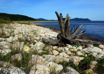 Берега в Лазовском заповеднике, Россия. Фото 2 – фотографии России