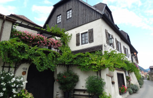 Вайсенкирхен-ин-дер-Вахау – фотографии Австрии