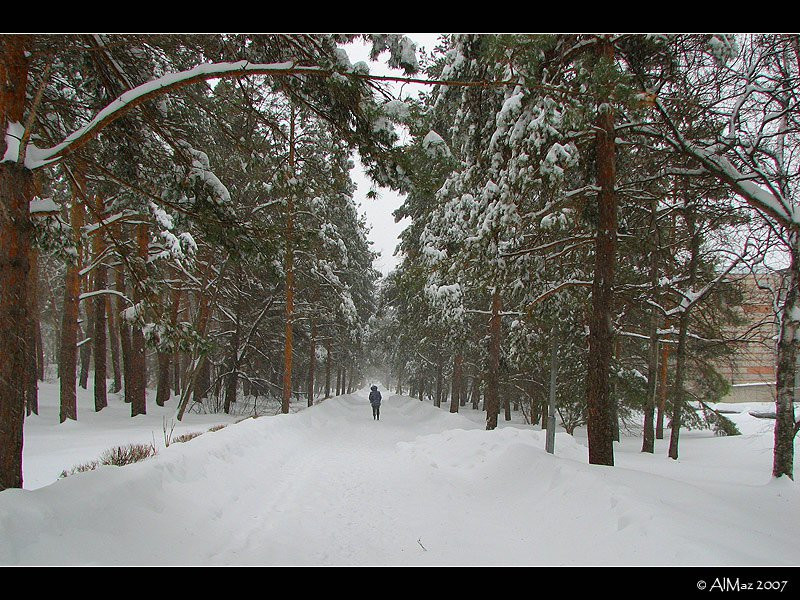Природа в Шмаковке, Россия. Фото 4 – фотографии России