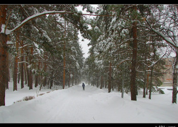 Природа в Шмаковке, Россия. Фото 4 – фотографии России