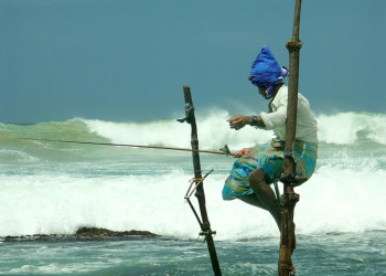 Велигама, Шри-Ланка, фото № 50870 – фотографии Шри-Ланки
