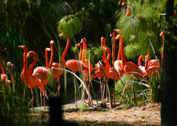 Мехико-Сити, Мексика, фото № 43757 – фотографии Мексики