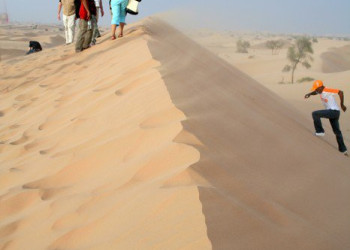 ОАЭ, фото № 1581 – фотографии ОАЭ