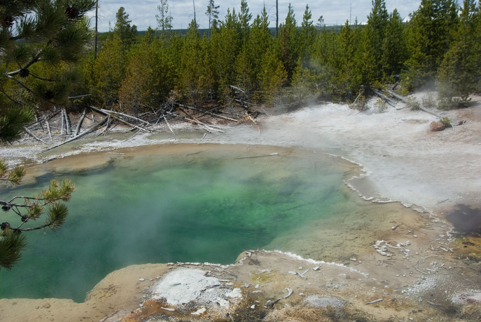 Йеллоустоун Национальный Парк, Вайоминг штат, США, фото № 67727 – фотографии США