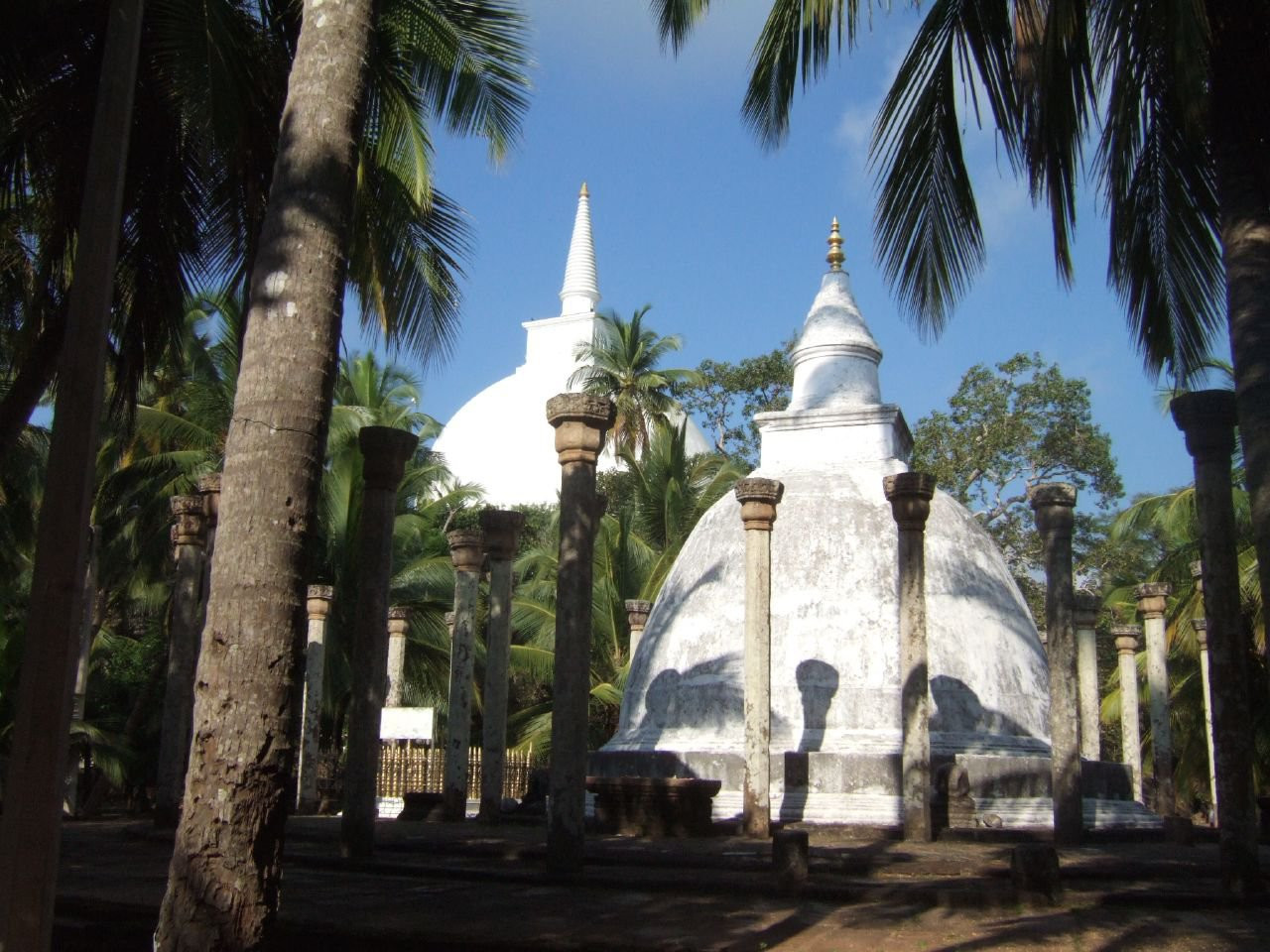 Анурадхапура, Шри-Ланка, фото № 50516 – фотографии Шри-Ланки