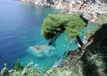 Скалы на острове Колочеп, Хорватия. Фото 6 – фотографии Хорватии