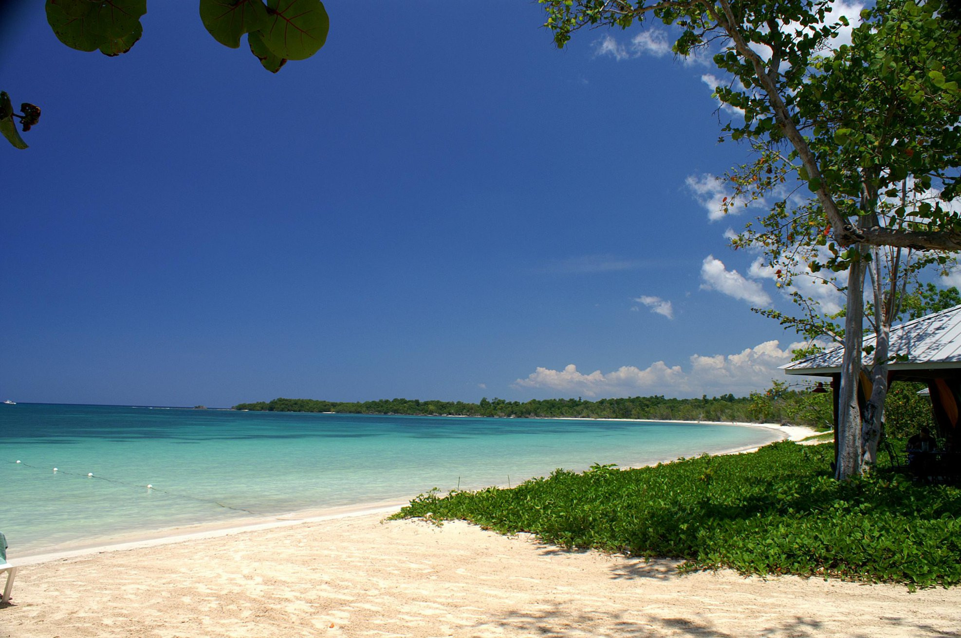 Побережье в Уайтхаусе, Ямайка – фотографии Ямайки