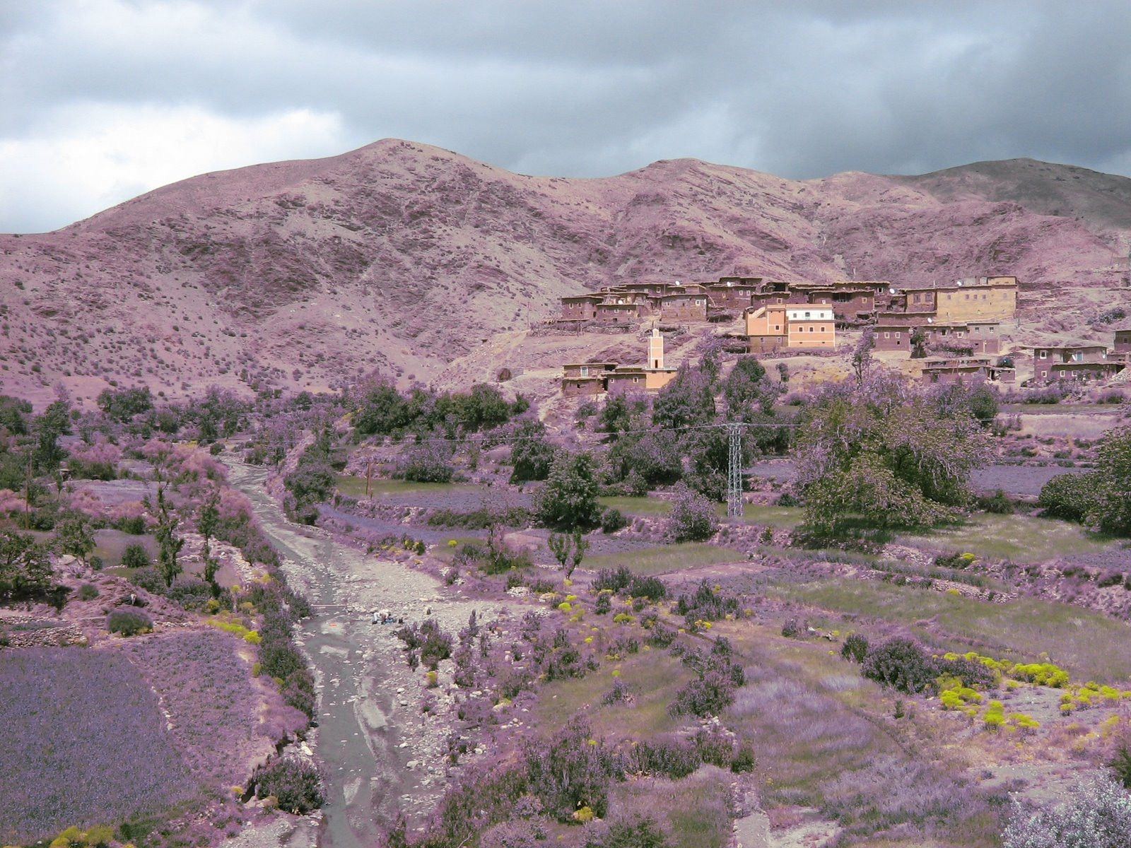 Загора, Марокко, фото № 7443 – фотографии Марокко