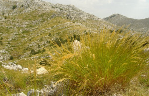 Горы в Биоково, Хорватия – фотографии Хорватии