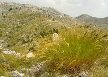 Горы в Биоково, Хорватия – фотографии Хорватии