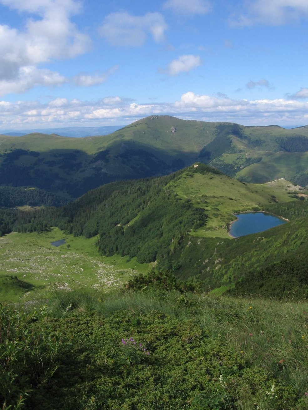 Природа Национального парка, Черногория. Фото 13 – фотографии Черногории