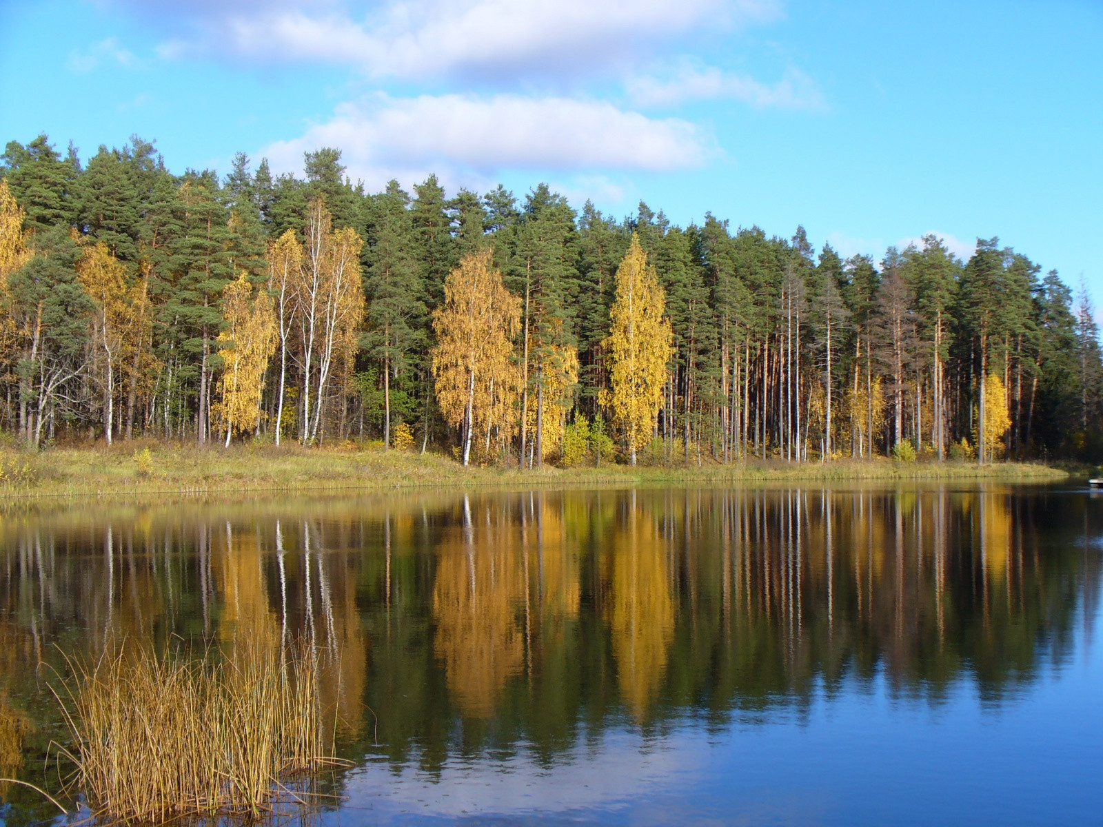 Природа в окрестностях Выру – фотографии Эстонии