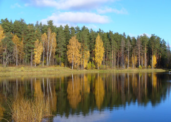 Природа в окрестностях Выру – фотографии Эстонии
