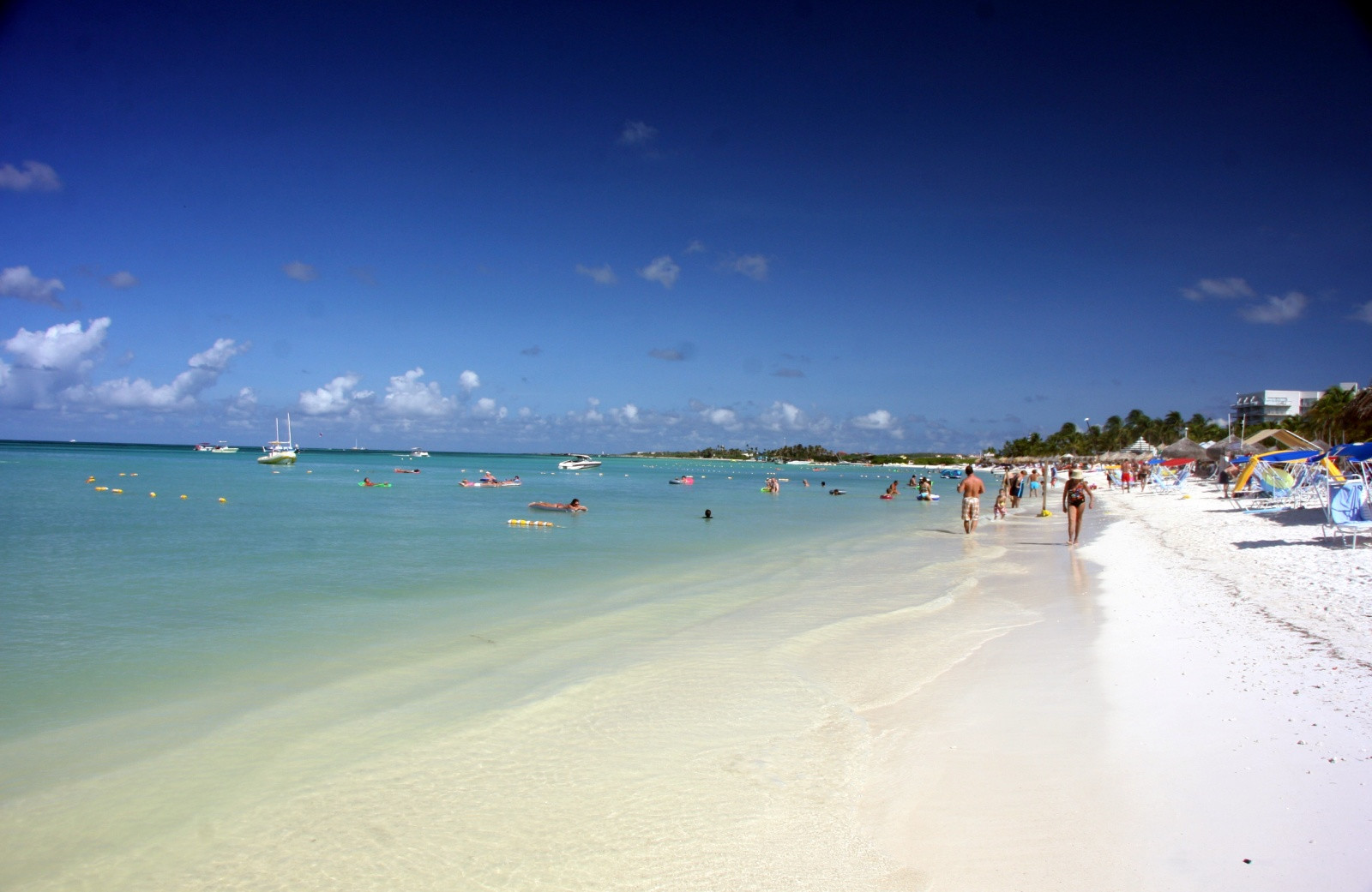 Пляж на Арубе – фотографии Арубы