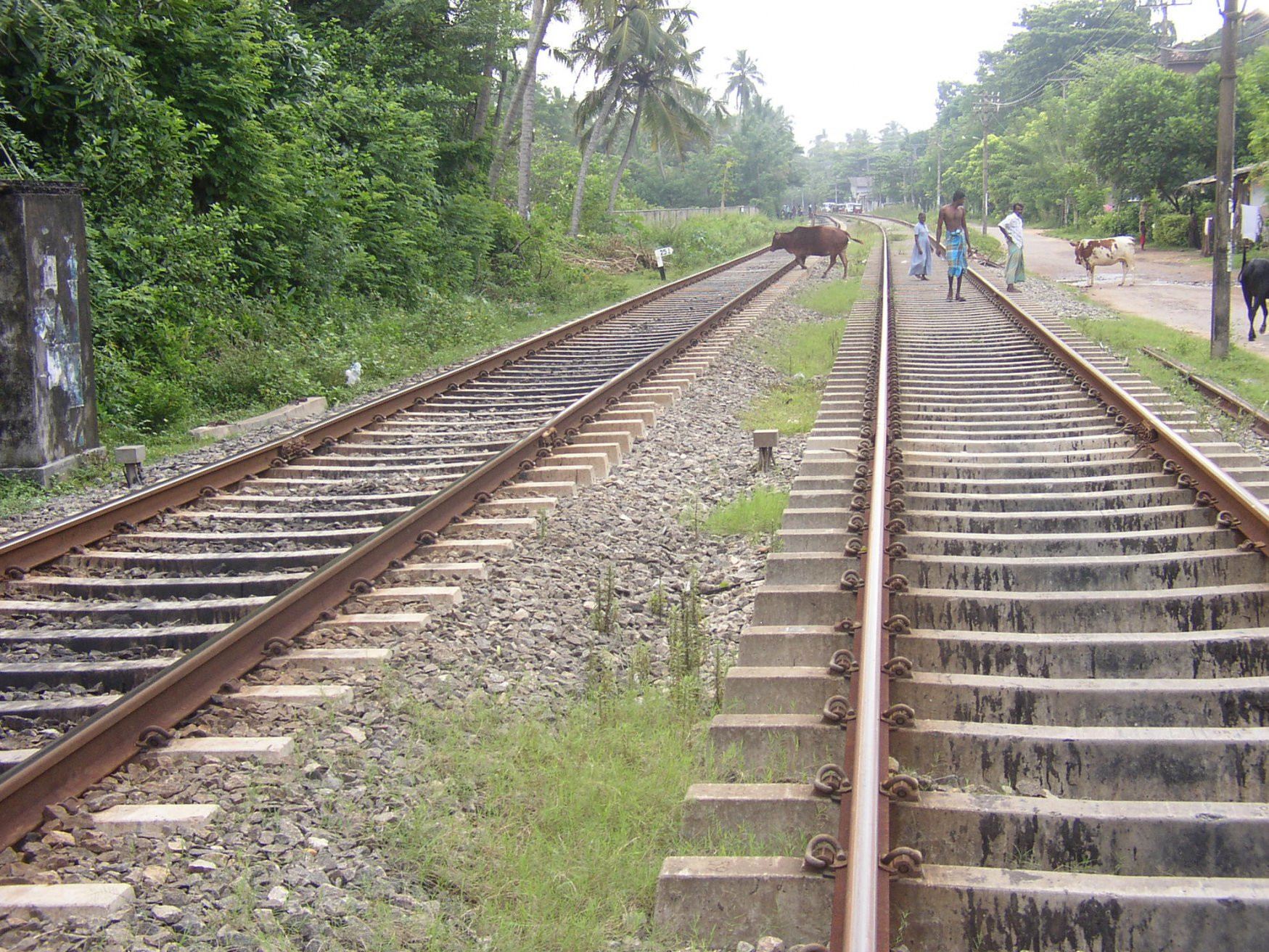 Калутара, Шри-Ланка, фото № 51256 – фотографии Шри-Ланки