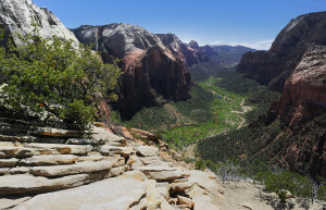 Национальный парк Зайон (Zion National Park) в США. Фото 4 – фотографии США