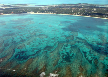 Вид на побережье островов Кайкос, Тёркс и Кайкос – фотографии Тёркс и Кайкос