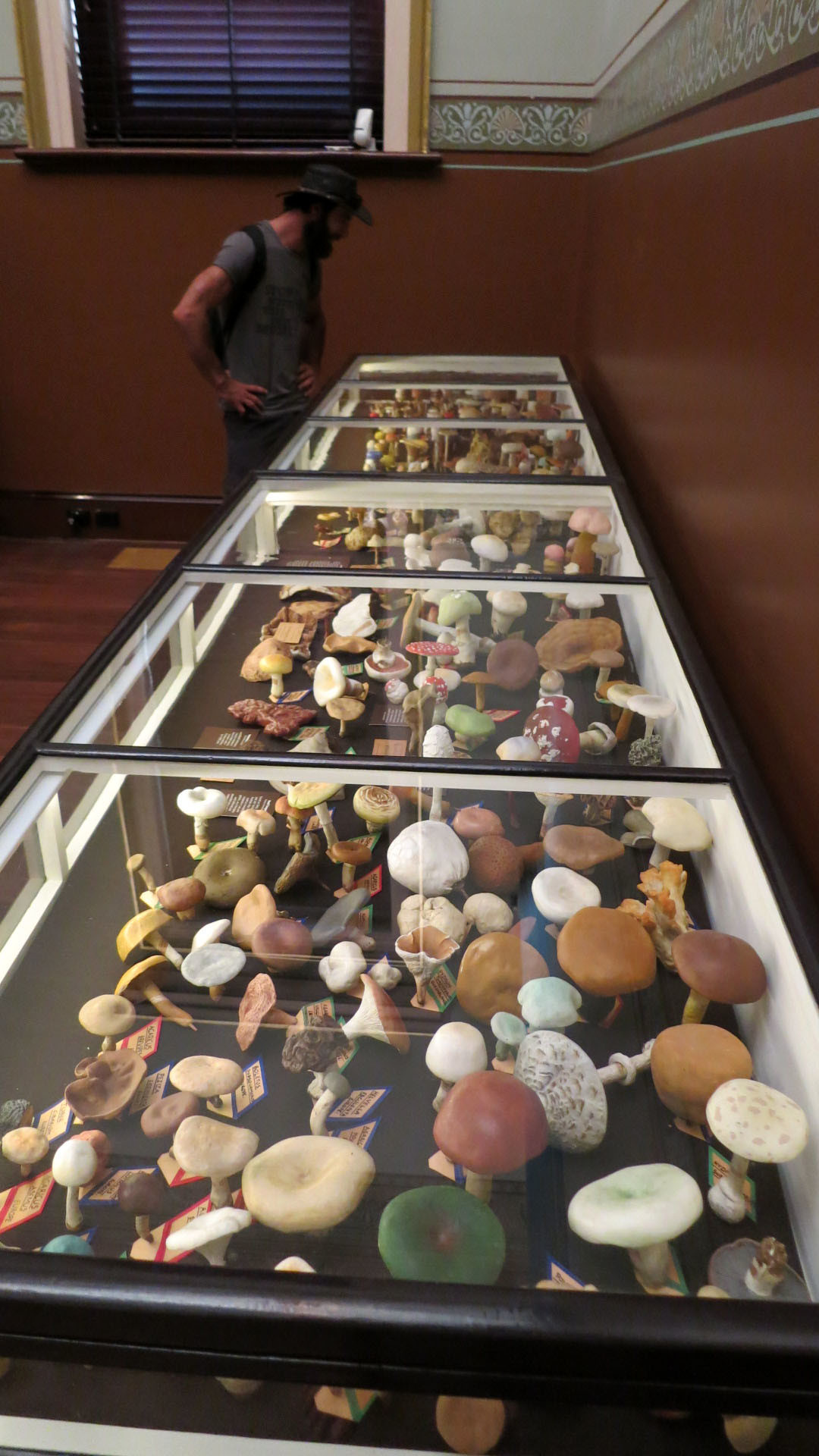 Музей "Santos Museum of Economic Botany" в Аделаиде – фотографии Австралии