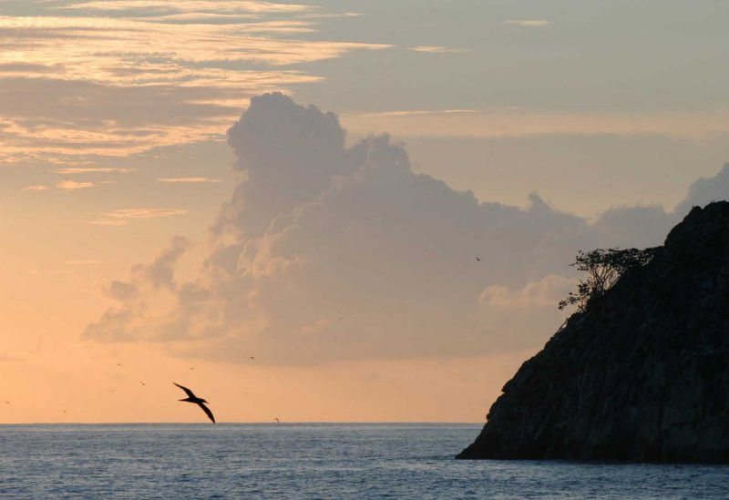 о.Кокос, Пунтаренас провинция, Коста-Рика, фото № 40863 – фотографии Коста-Рики