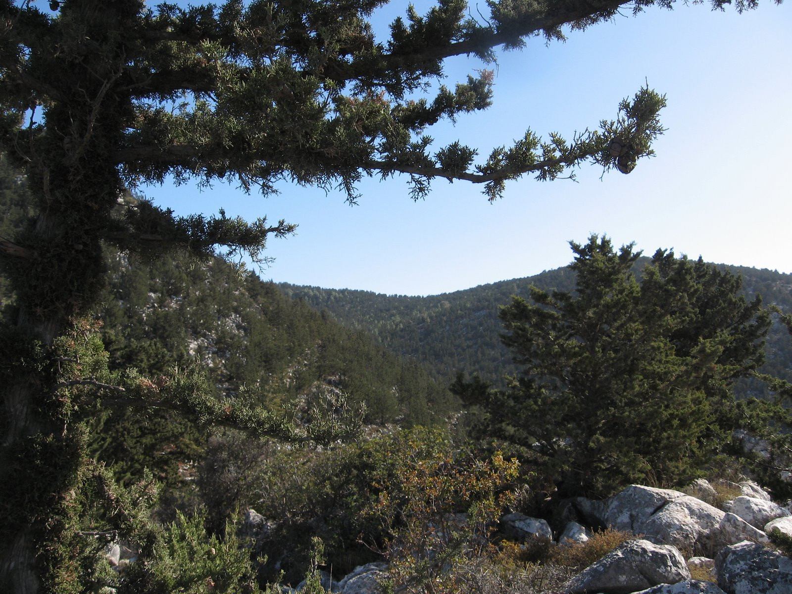 Кипр, фото № 751 – фотографии Кипра