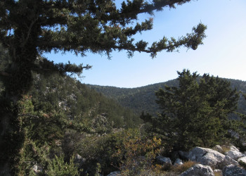 Кипр, фото № 751 – фотографии Кипра