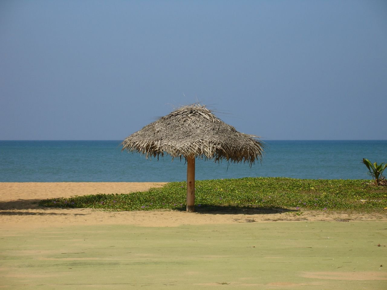 Маравила, Шри-Ланка, фото № 51701 – фотографии Шри-Ланки