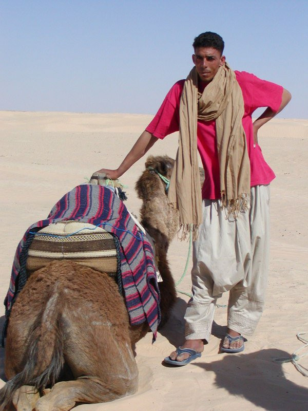 Погонщик верблюдов Тунисе – фотографии Туниса