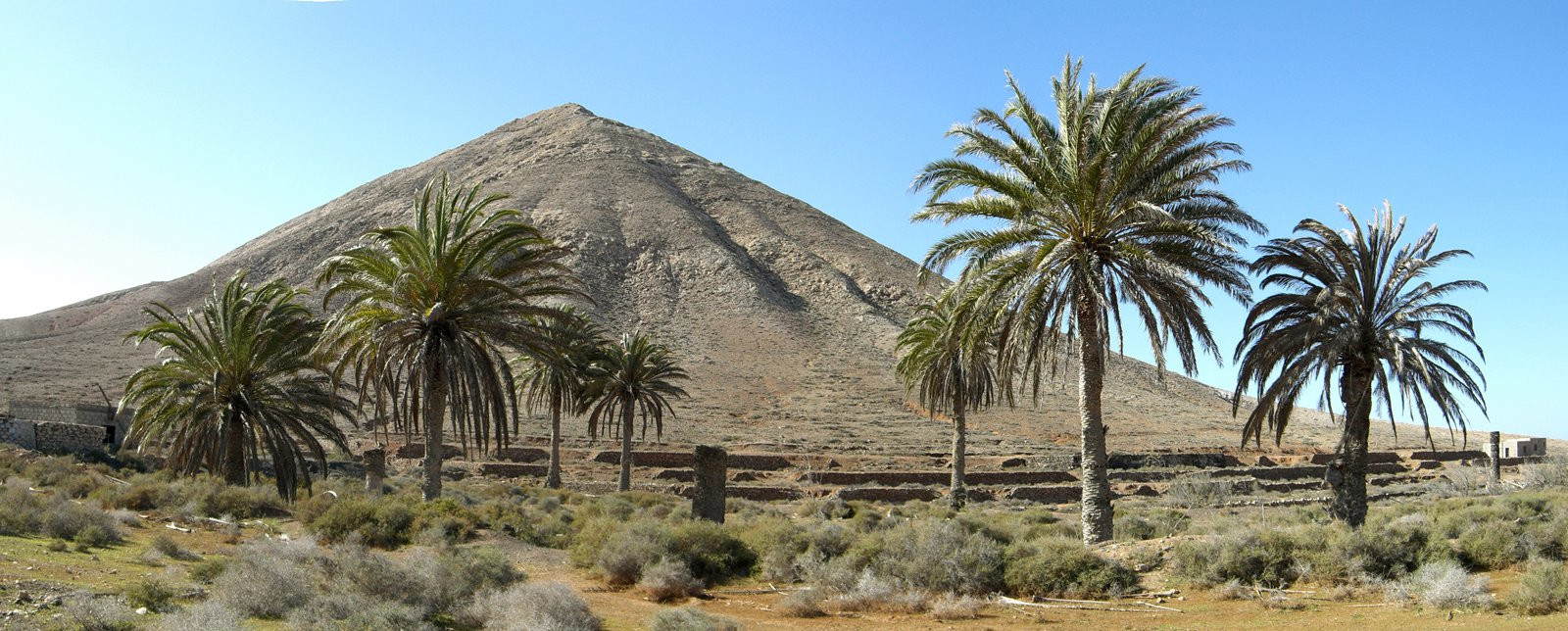 Тиндайя, Фуэртевентура остров, Канарские острова, фото № 34455 – фотографии Канарских островов